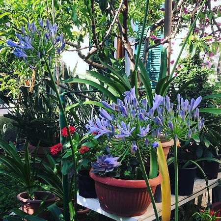 Casa Fornaciari Bed & Breakfast เวียเรจโจ ภายนอก รูปภาพ