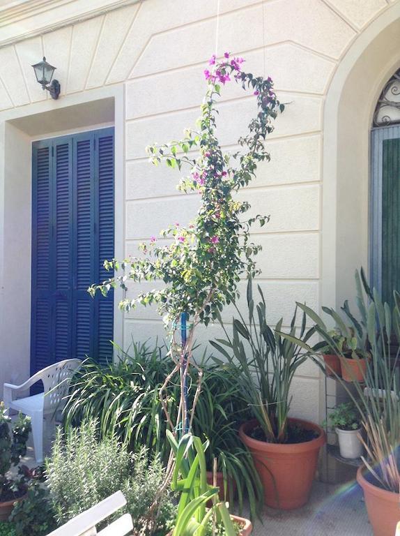 Casa Fornaciari Bed & Breakfast เวียเรจโจ ภายนอก รูปภาพ